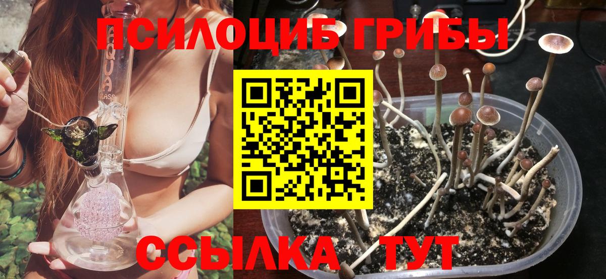 Галлюциногенные грибы мухоморы Воронеж
