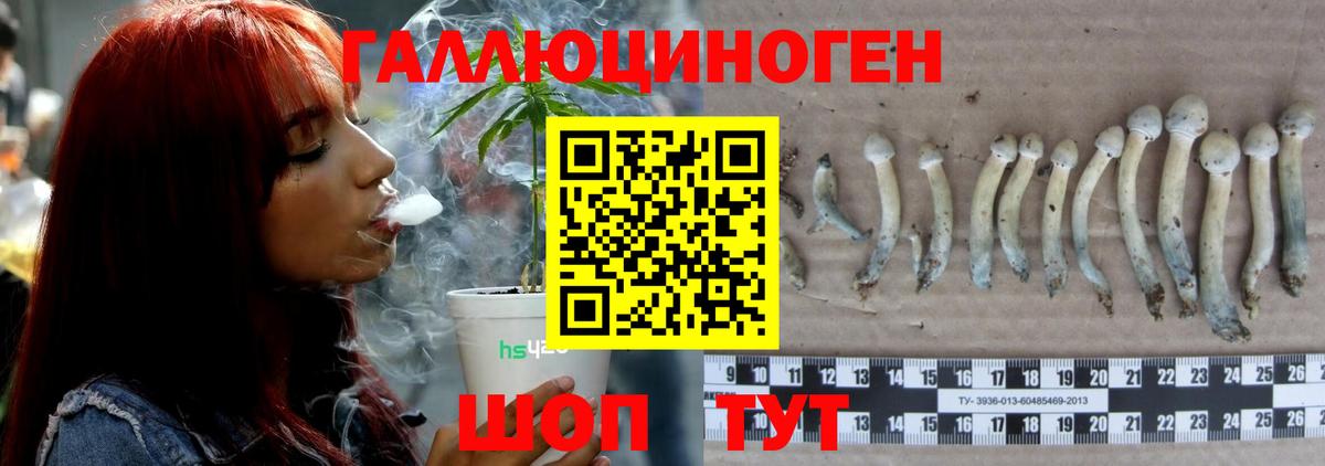 Псилоцибиновые грибы Magic Shrooms  Галлюциногенные грибы Magic Shrooms  Вход с VPN  Воронеж 